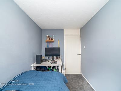 Picture 20
